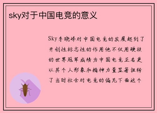 sky对于中国电竞的意义